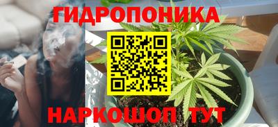 эйфоретик Гусь-Хрустальный