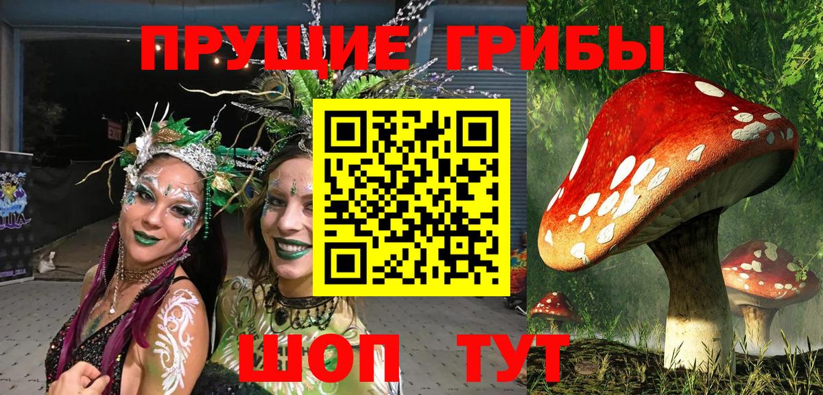 Псилоцибиновые грибы GOLDEN TEACHER Лянтор